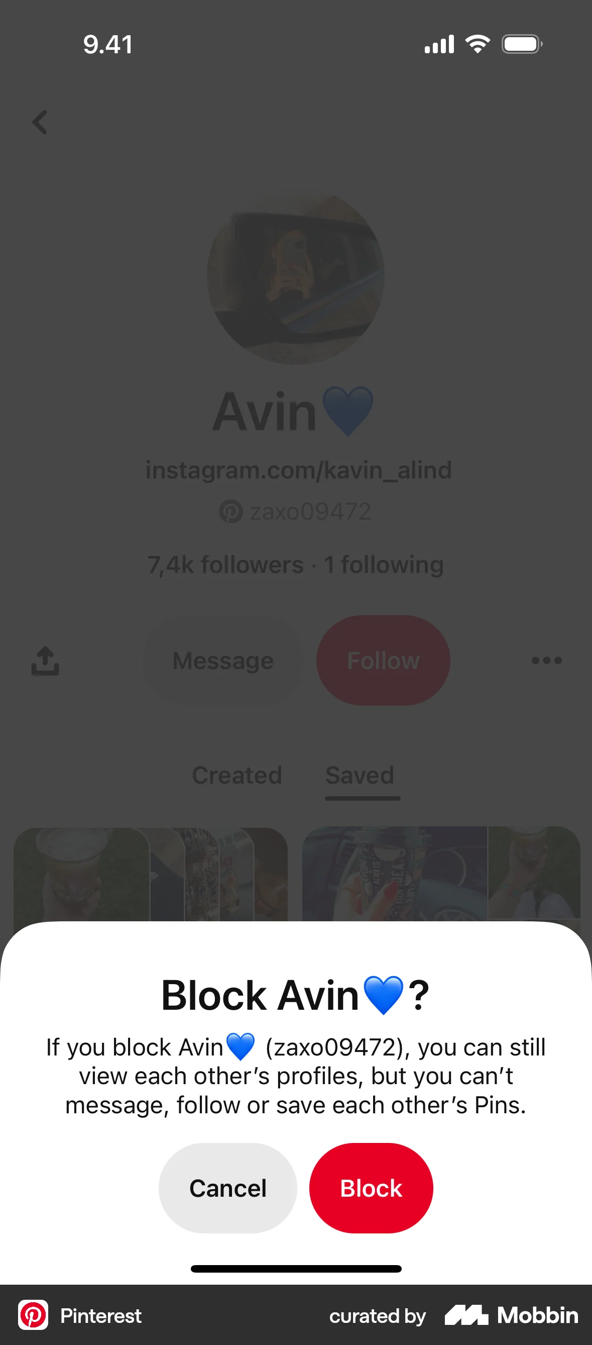Pinterest iOS Ban & Block screen