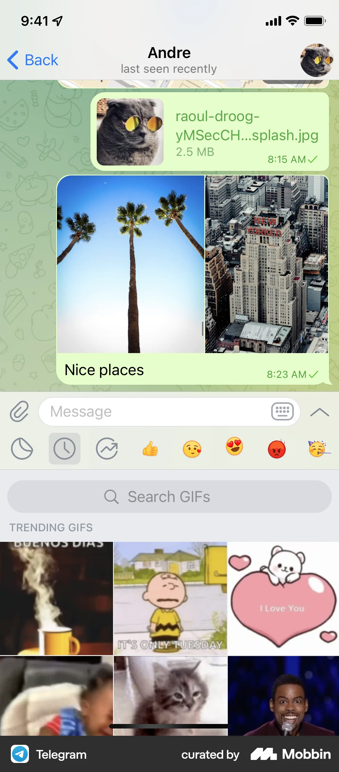 Telegram iOS screen containing Gallery UI element