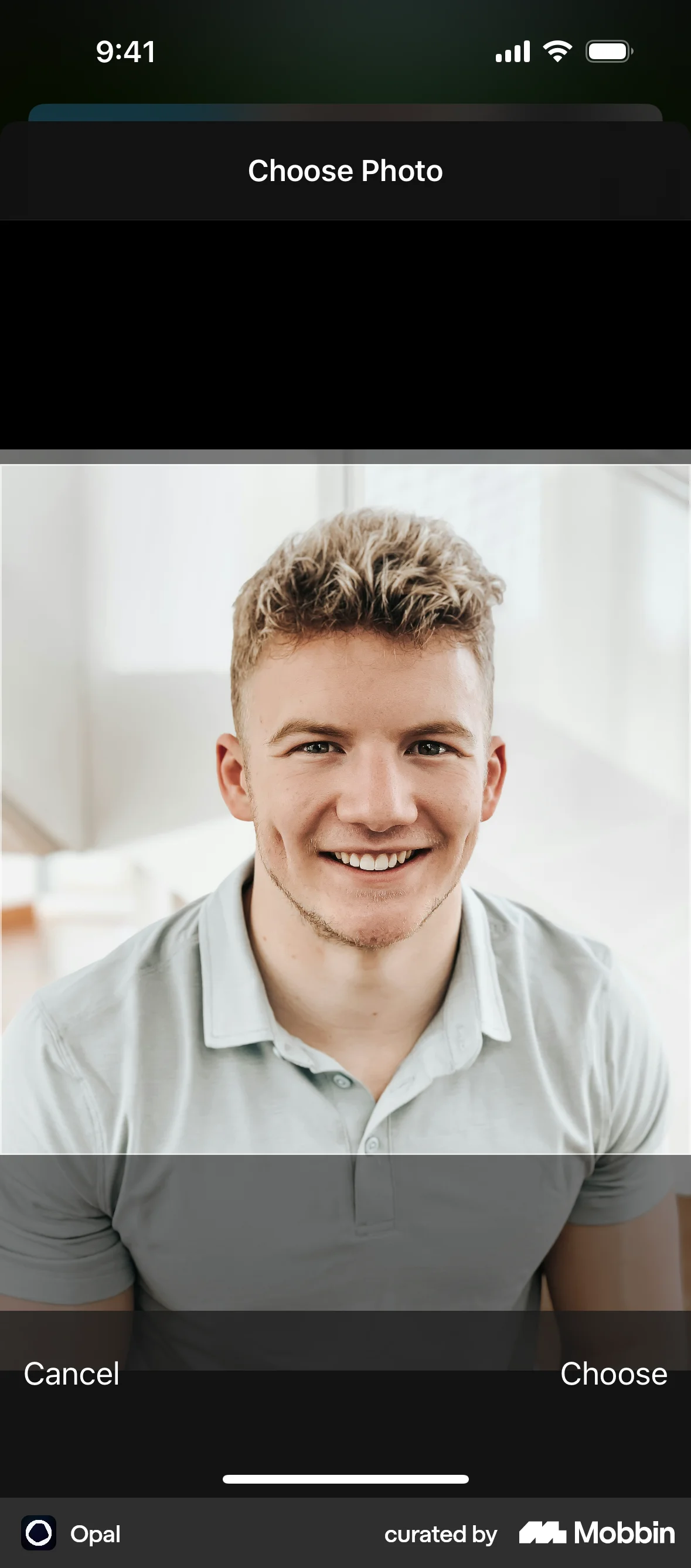 Opal iOS Media Editor screen