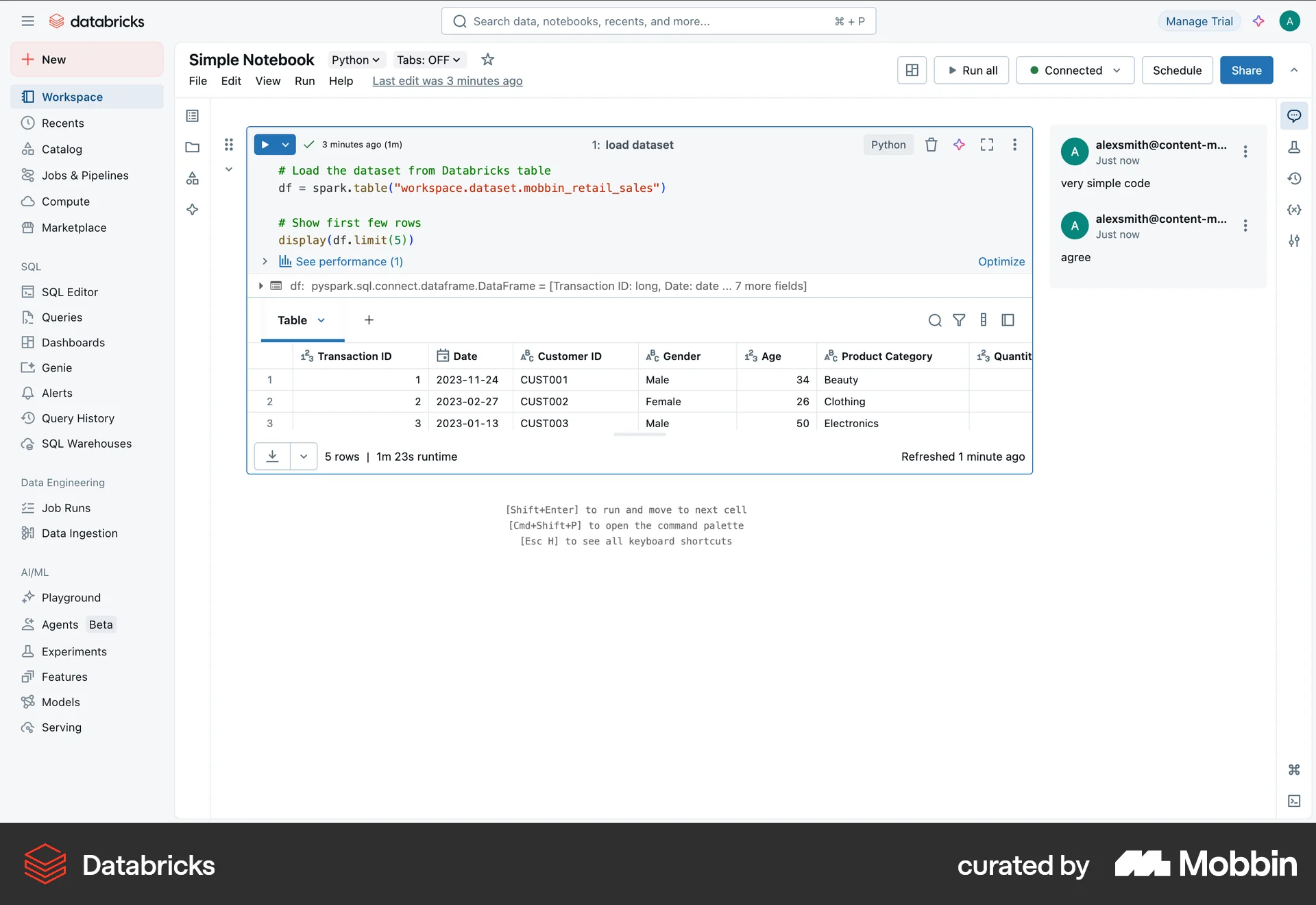 Databricks Web Comments screen