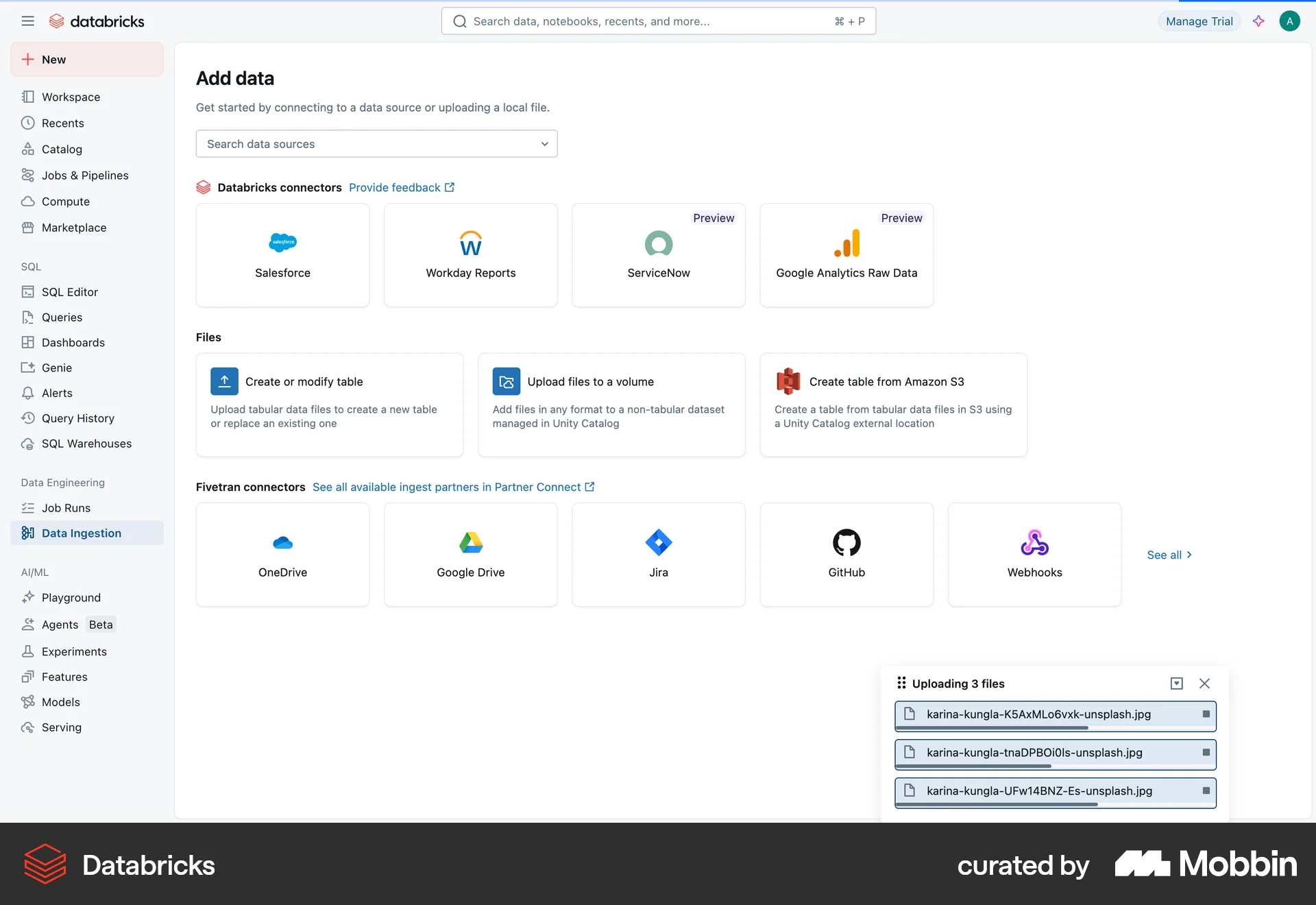 Databricks Web Loading screen