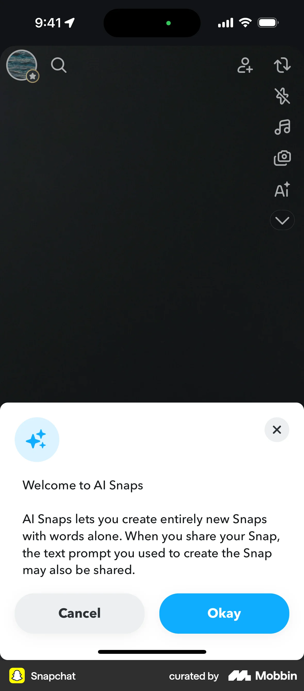 Snapchat iOS screen containing Coach Marks UI element