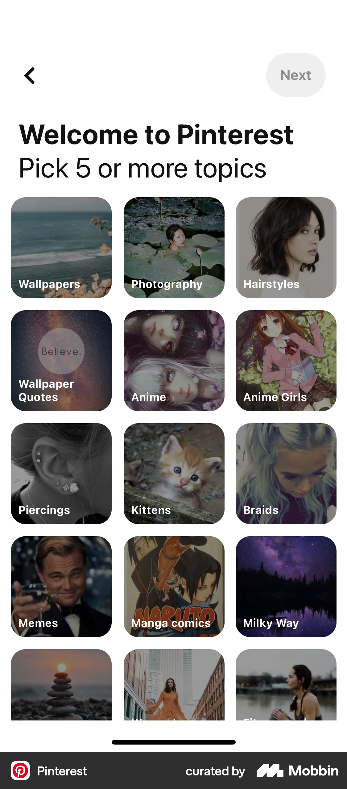Pinterest iOS screen containing Gallery UI element