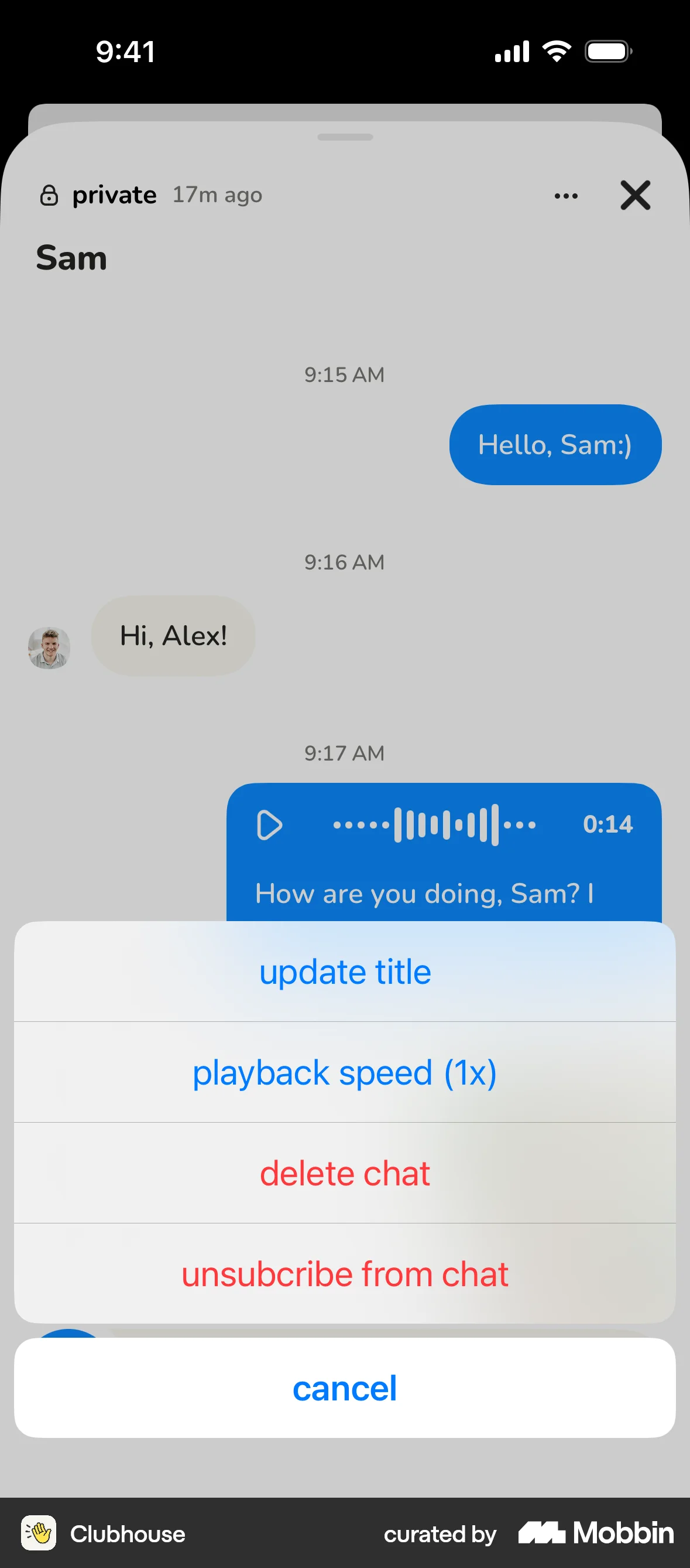 Clubhouse iOS Chat Detail screen