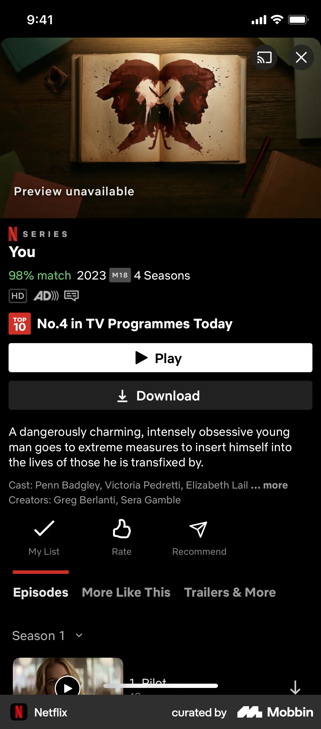 Netflix iOS TV Show & Movie Detail screen