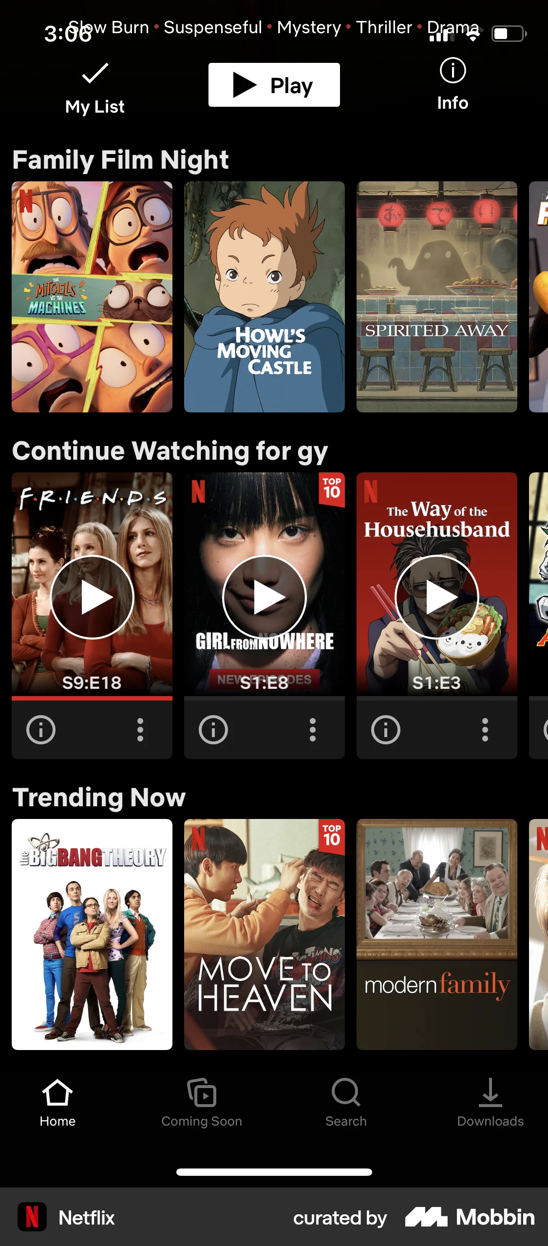 Netflix iOS TV Show & Movie Detail screen