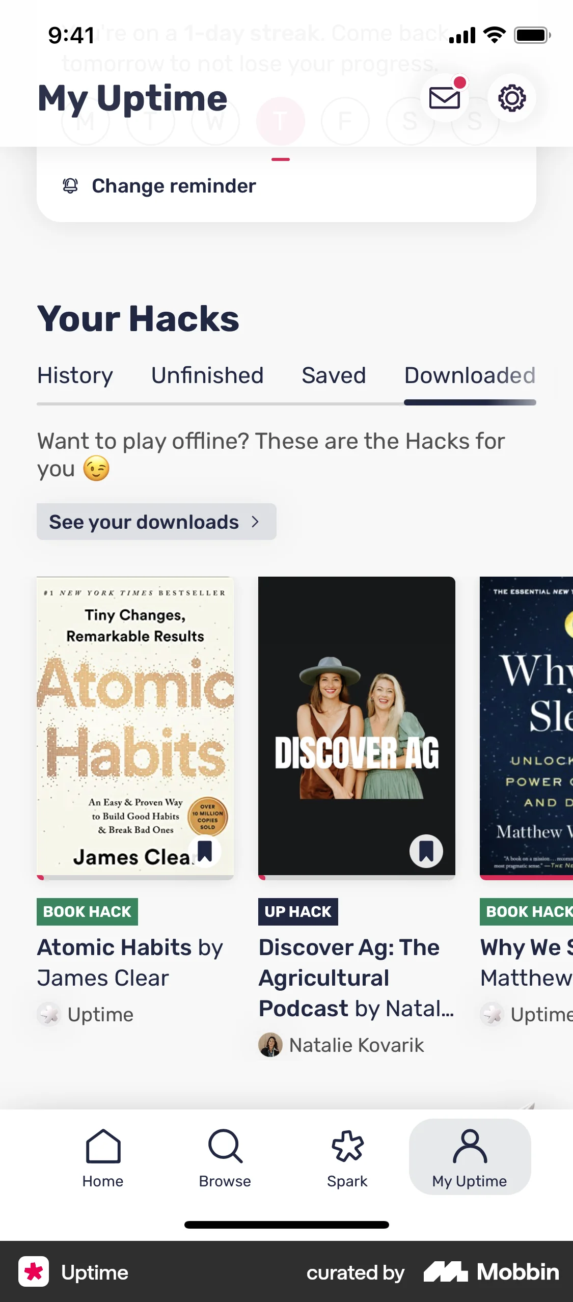 Uptime iOS Downloads & Available Offline screen