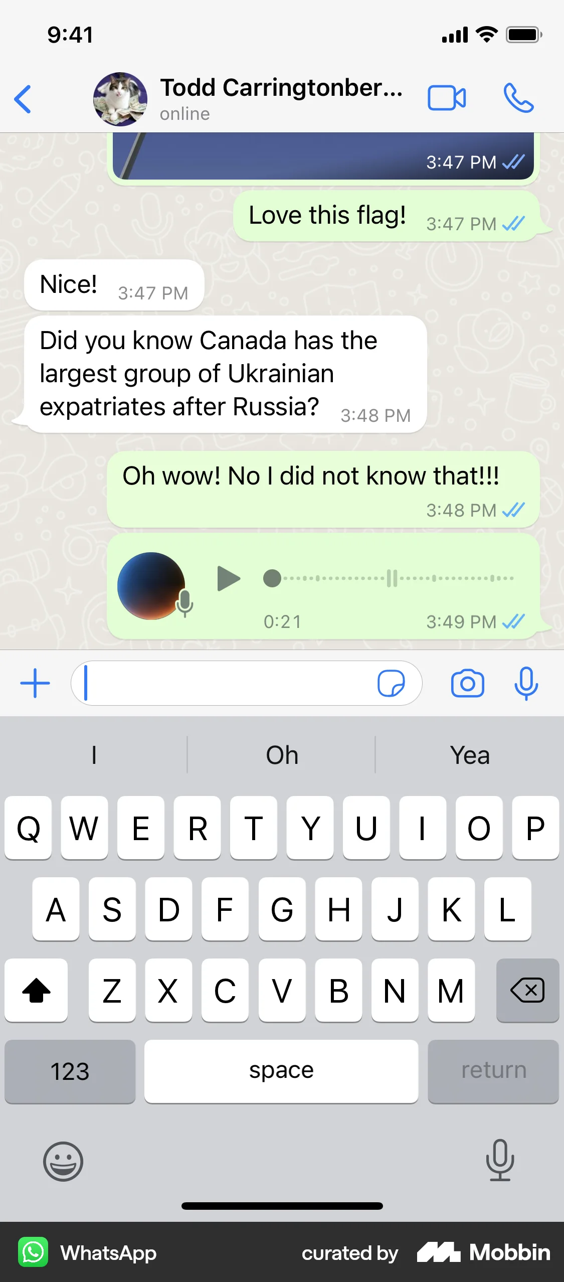 WhatsApp iOS Audio Player screen