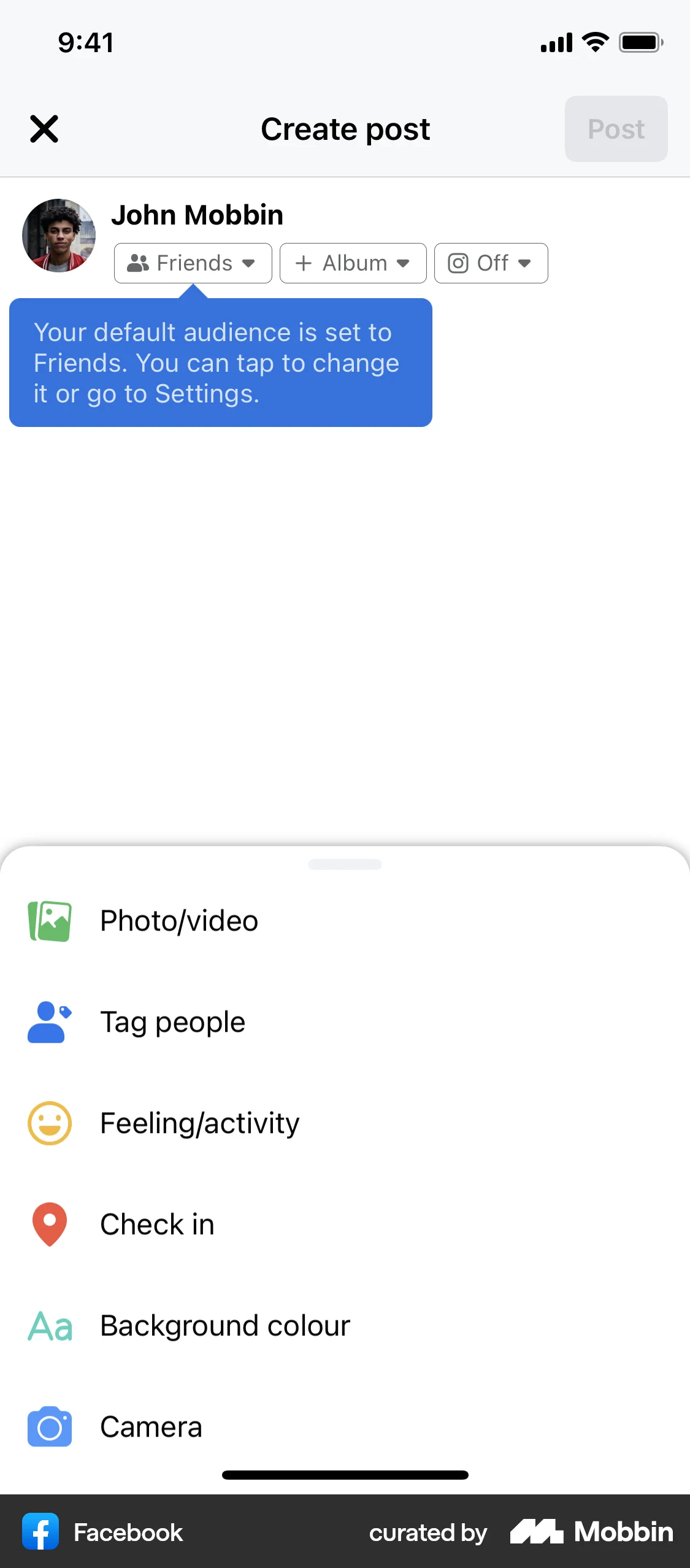 Facebook iOS Post Detail screen