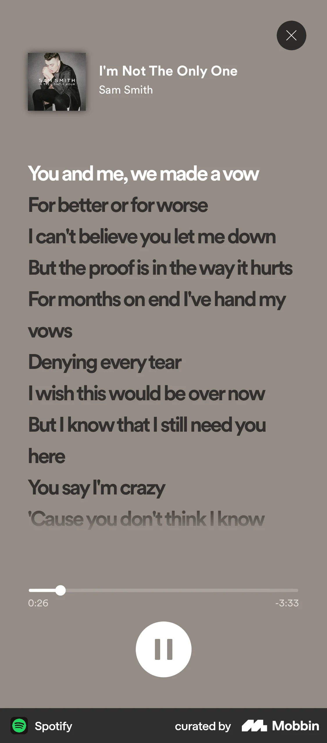 Spotify iOS Song & Podcast Detail screen