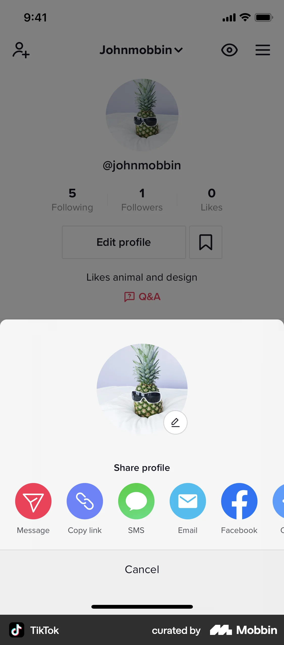 TikTok iOS Share screen