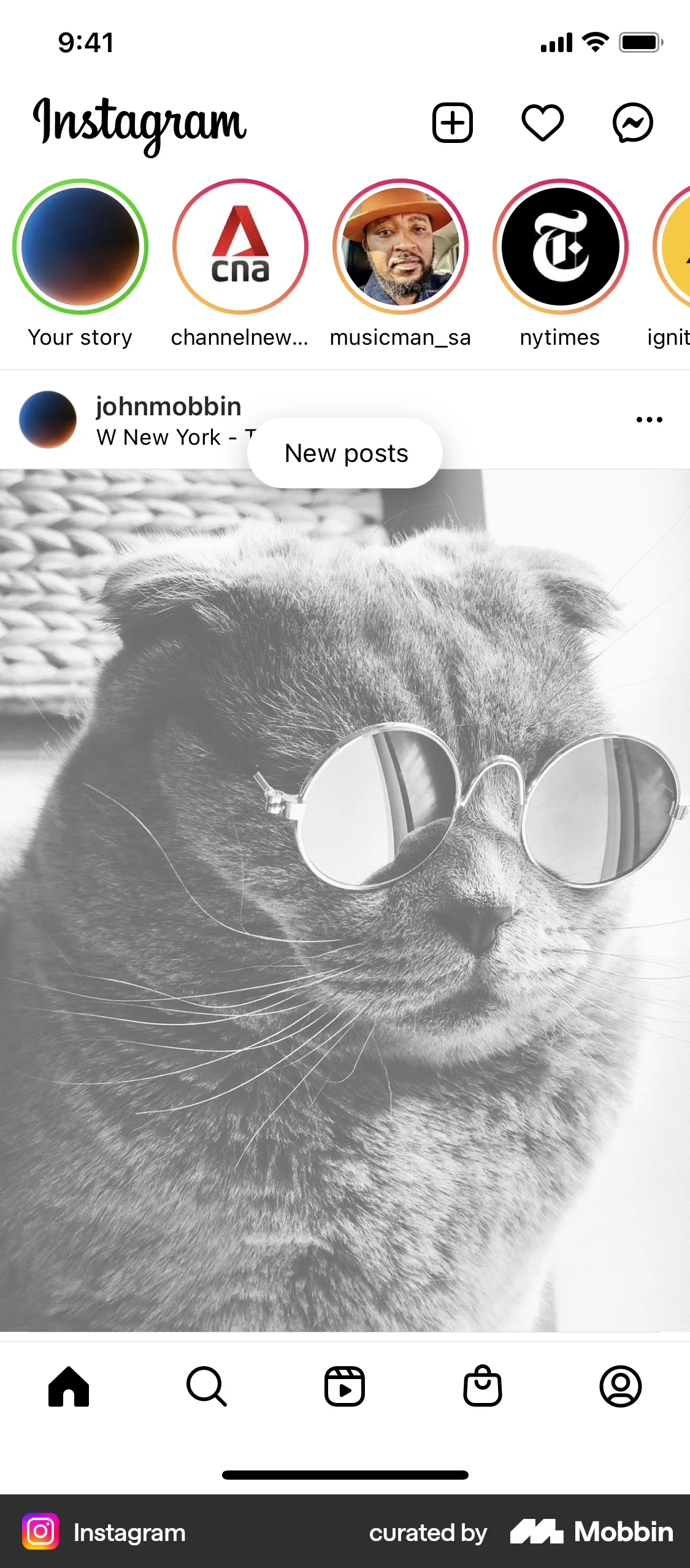 Instagram iOS Social Feed screen