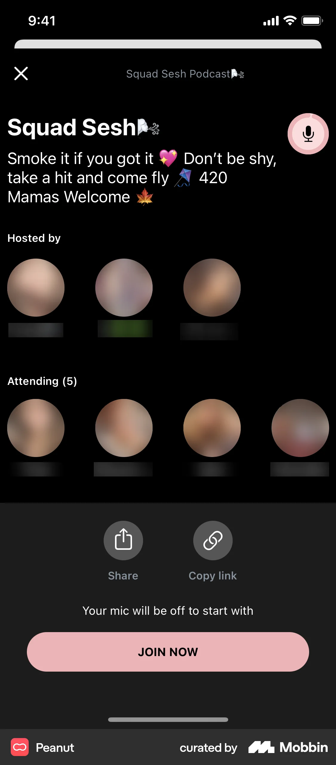 Peanut iOS Song & Podcast Detail screen