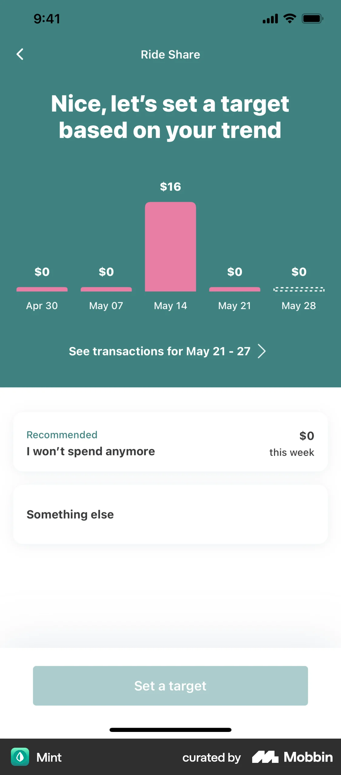 Mint iOS Graph UI Design screen