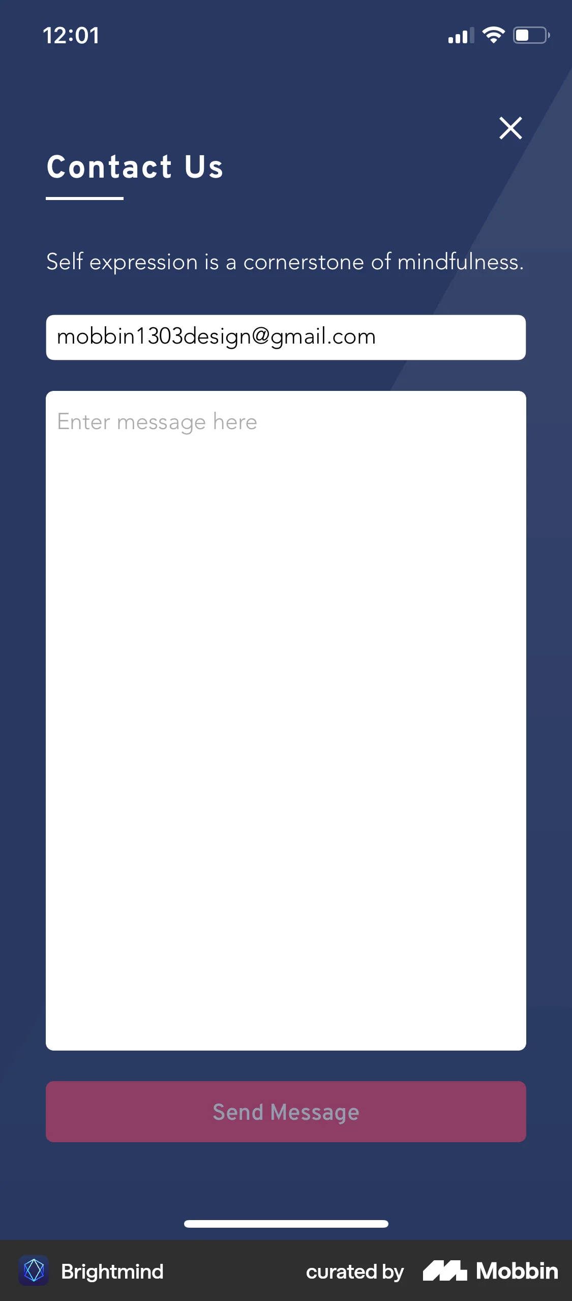 Brightmind iOS Help & Support screen
