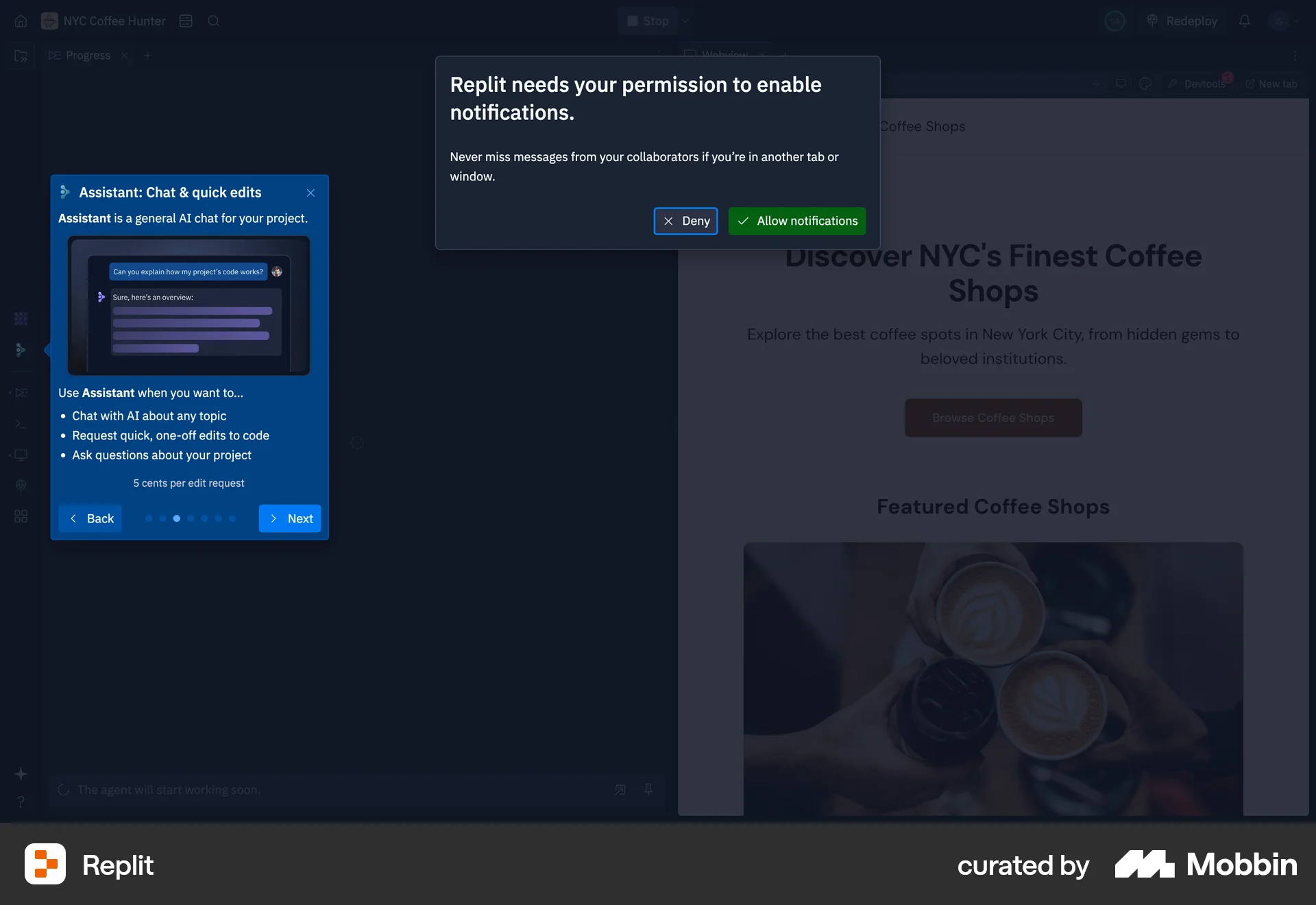 Replit Web Permission screen