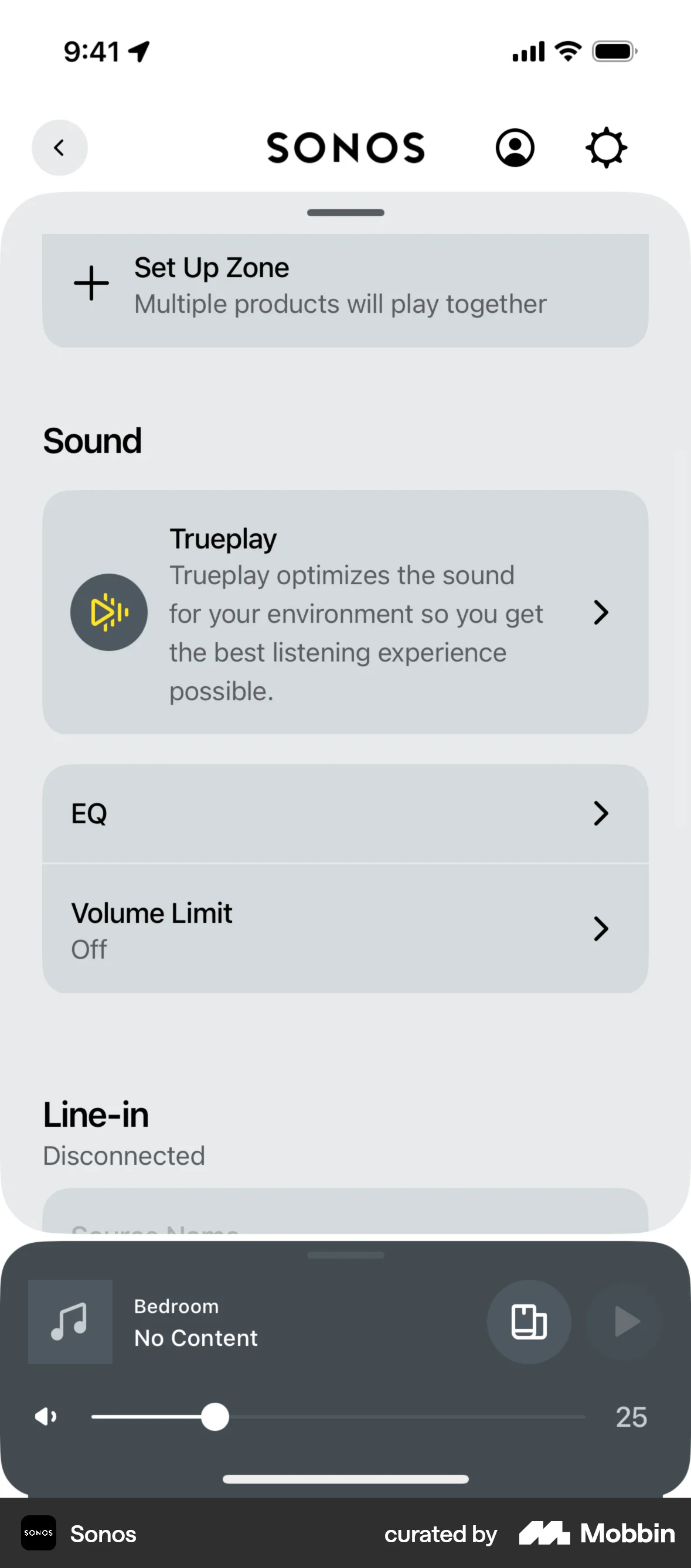 Sonos iOS Feature Info screen