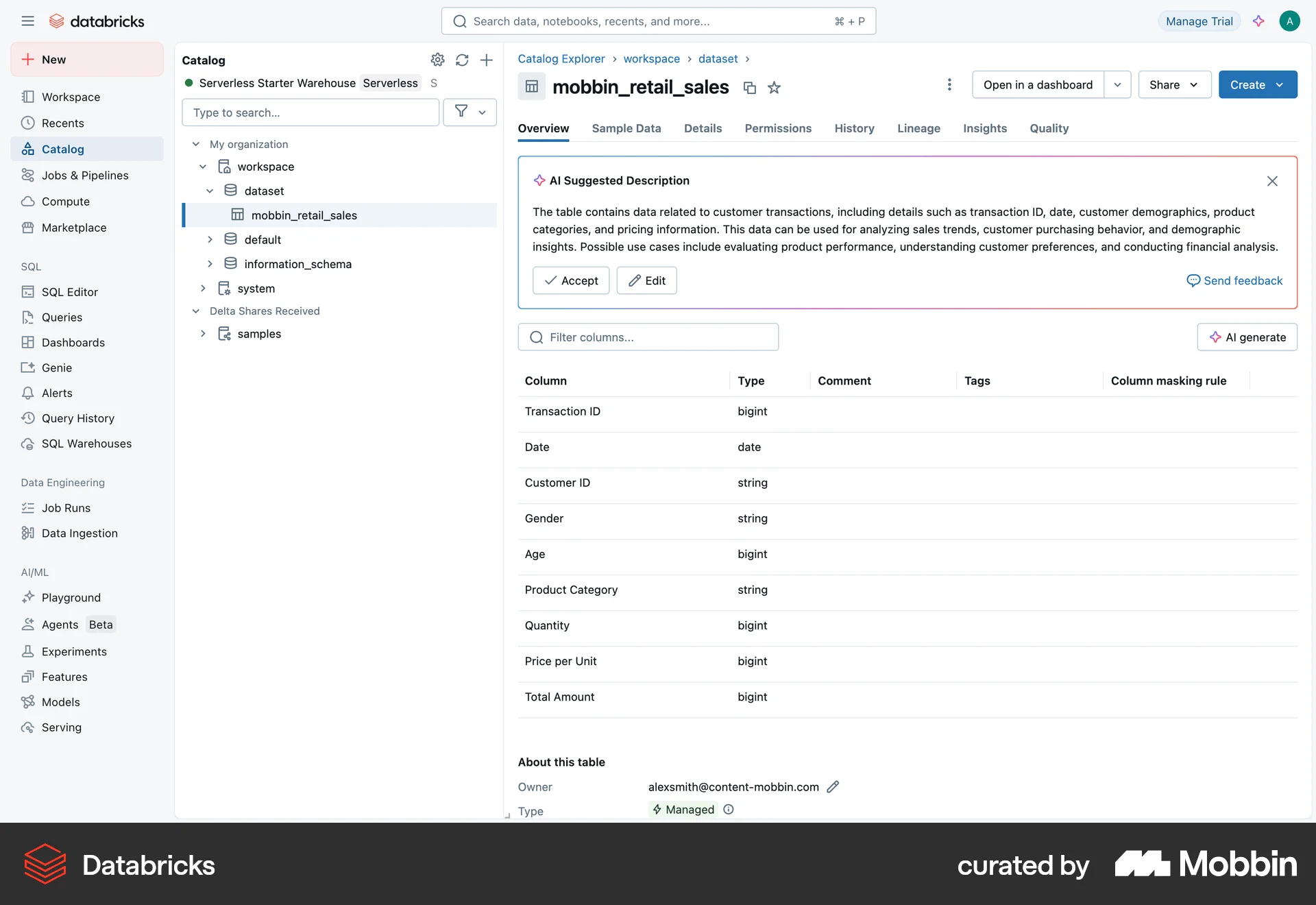 Databricks Web Developer Tools App screen