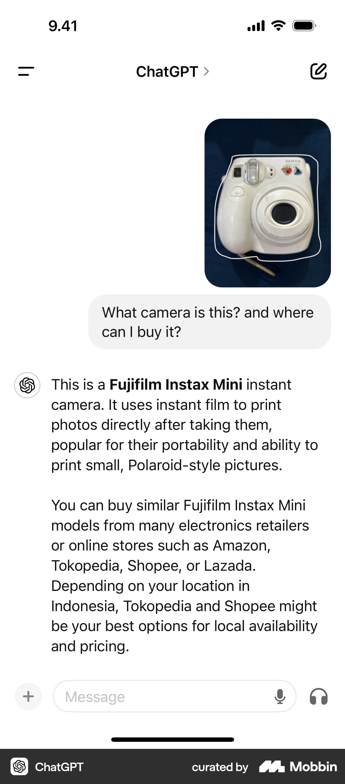 ChatGPT iOS Chat Bot screen